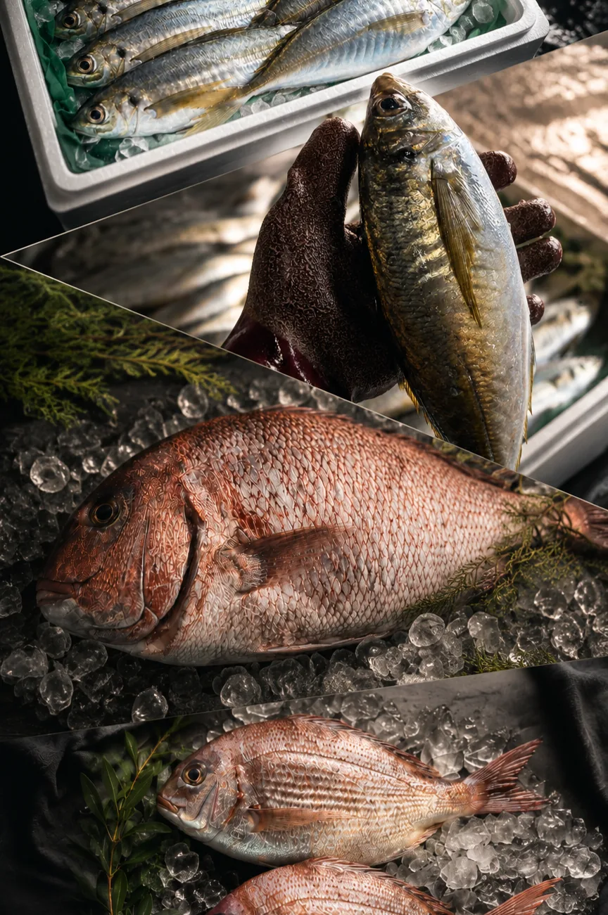手にのせられた鮮魚